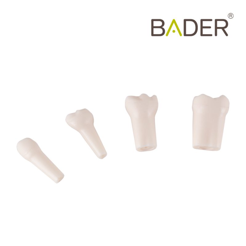 dientes reposicion marca BADER